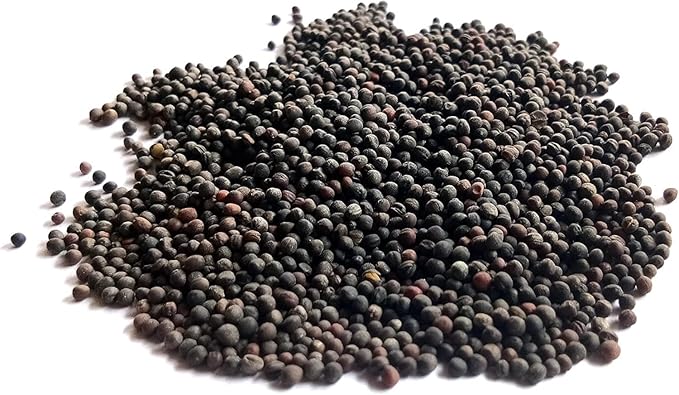 Dwarf Siberian Kale Seeds for Planting – Plant & Grow Heirloom Non-GMO Dwarf Siberian Kale in Home Outdoor Vegetable Garden, Brassica Napus – 3 Packets