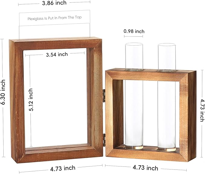 Plant Propagation Stations, Propagation Vases for Plants with Photo Frame and Glass Planters Indoor Plant Stand Hydroponic Propagation Stations Tabletop Home Kitchen Office Decor