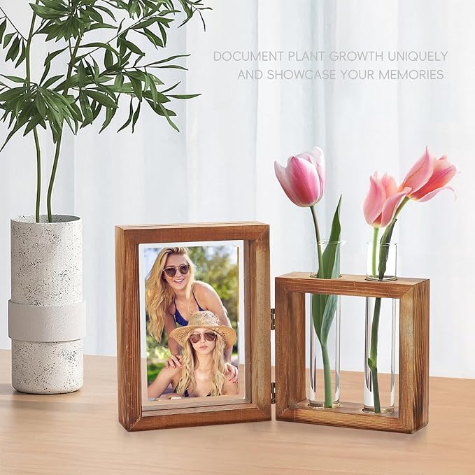 Plant Propagation Stations, Propagation Vases for Plants with Photo Frame and Glass Planters Indoor Plant Stand Hydroponic Propagation Stations Tabletop Home Kitchen Office Decor