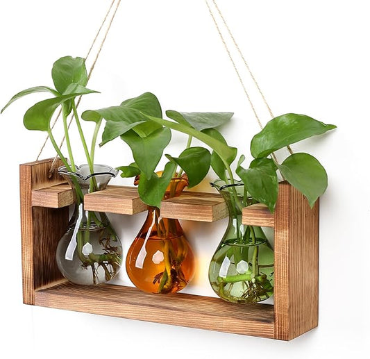 Plant Propagation Station Plant Terrarium Unique Birthday Gifts for Women Home Office Decor Planter with Wooden Stand - 3 Bulb Glass Vase