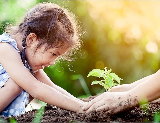 Seed Starter 12 Quart Bag, All Natural and Organic, Fast Seedling Germination, Grows Strong Roots for Indoor Gardens, Raised Beds & Transplanting