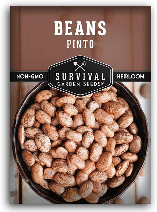Pinto Bean Seeds for Planting - 1 Packet with Instructions for Growing Mottled/Peruano Beans in The Home Vegetable Garden - Non-GMO Open-Pollinated Heirloom & Untreated - Survival Garden Seeds