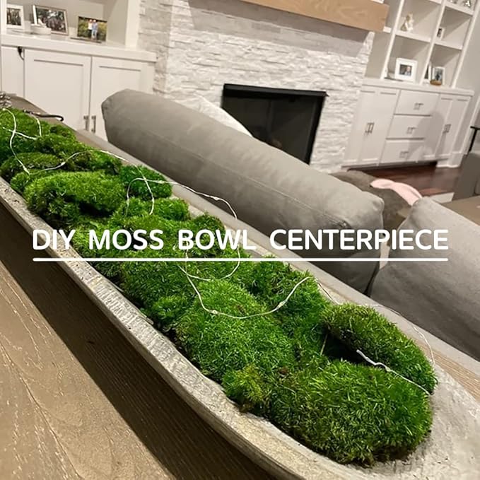 Preserved Pole Moss Pillow Bun Cushion Natural Green Decorative Real Natural Green DIY Kit Terrariums Gardenning Art Wall Decor Florist Decor Easter Table Decor Wedding (3.0 sq.ft., Green-B)