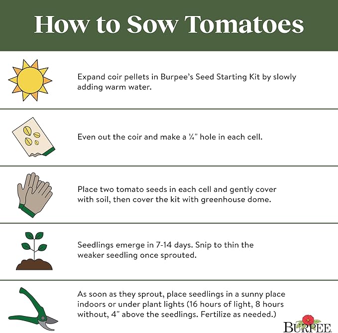 Burpee 'San Marzano' Heirloom, Paste Tomato, 75 Non-GMO Seeds