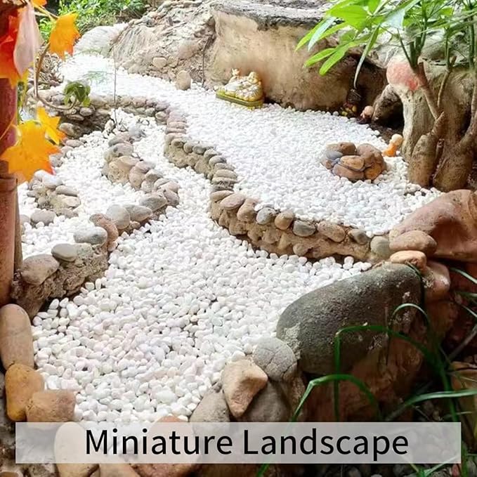 5lbs Natural White Pea Gravel Pebbles for Succulent Cactus, 3/8 Inch White Rocks for Plants Indoor, Vase Fillers, Bowl, Landscaping and Outdoor Garden Decorative White Stones