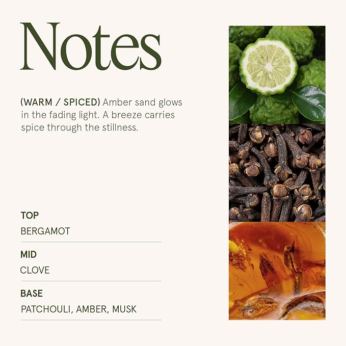 LA JOLIE MUSE Fall Candle | Sahara Amber Candle – Bergamot, Clove & Amber | 19 oz Wooden Wick | Natural Soy Wax | 90 Hours Clean Burn | Gift-Ready for Cozy Nights | Elevated Fall Décor