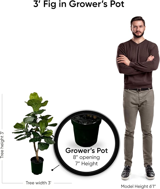 Cypress & Alabaster Handmade 3ft Fiddle Leaf Fig Ficus Lyrata Artificial Tree with Ethically Sourced Real Wood Trunks, Hypoallergenic, 3-Foot, Green