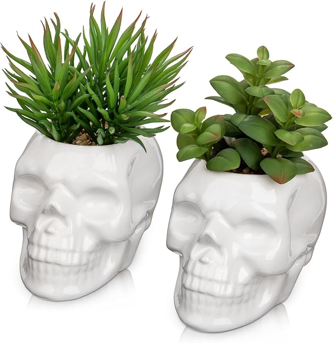 Small Fake Succulents Plants Artificial Succulents in Pots Set of 2 Mini Succulent Plant Realistic Faux Plants Skull Artificial Succulent Plants for Home Office Table Bedroom Bathroom Shelf Decor
