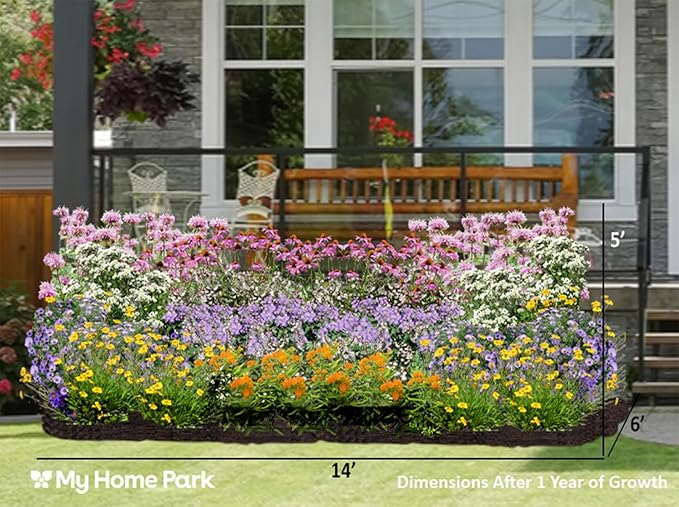 64 Outdoor Plants - Flowering Garden for Full Sun to Support Pollinators Including Perennial Native Plants Purple Coneflower, Butterfly Milkweed, Wild Bergamot and Smooth Blue Aster