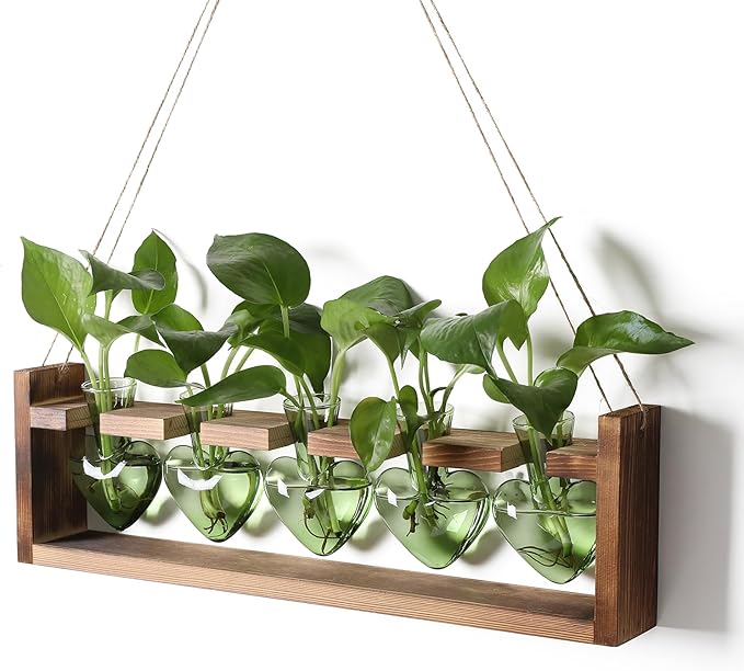 Plant Terrarium Hanging Propagation Stations Gift for Women Plant Lover air Plant Holder with Wooden Stand Heart Glass