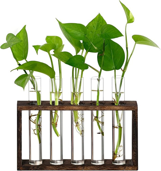 XXXFLOWER Plant Terrarium Wooden Stand with 5 Test Tubes,Glass Planters for Indoor Plants,Plant Lover Gifts for Women Garden Office Decoration