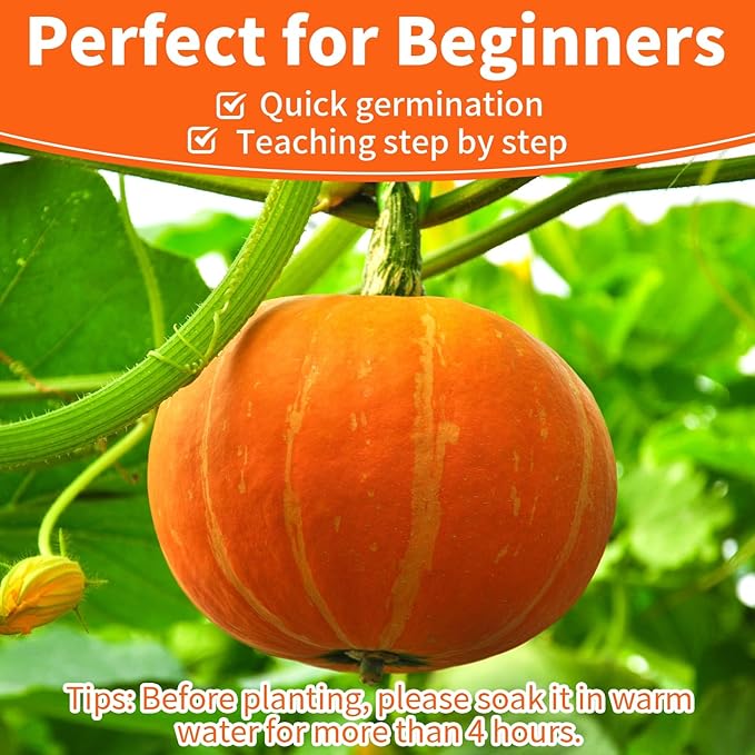 200+ Pumpkin Seeds for Planting - 10 Variety Jack Be Little, Jack O Lantern, Sugar Pie, Blue Jarrahdale, Baby Boo, Great for Halloween Pumpkin Seed for Indoor & Outdoor, Non GMO Seed Collection