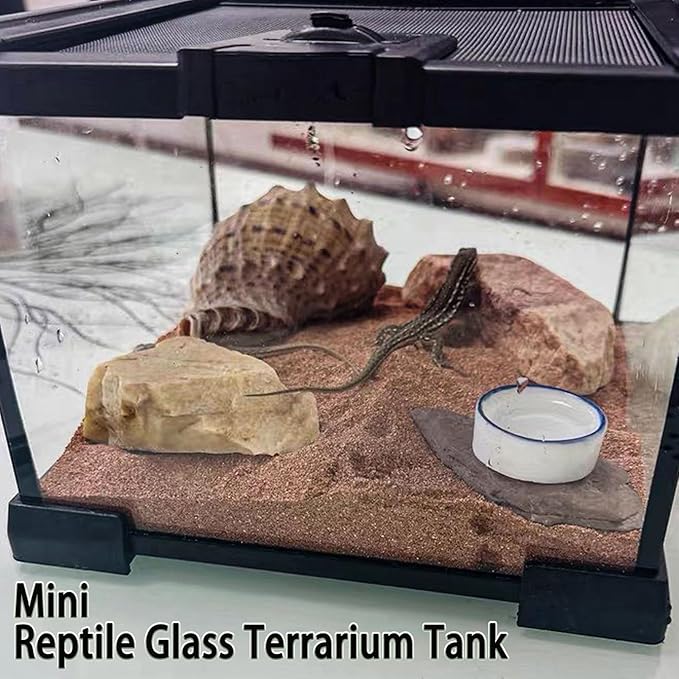BNOSDM Reptile Tank,8" x 8" x 6" Mini Reptiles Terrarium,Full View Young Lizard Glass Tank,Small Amphibians Habitat Enclosure Cage for Tarantula,Frog,Hermit Crab,Isopods,Insects Breeding Box