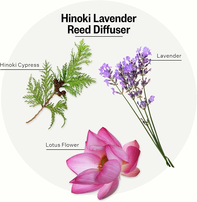 Apotheke Luxury Scented Reed Diffuser for Home, Hinoki Lavender - 6.7 Fl Oz Essential Oil Aromatherapy - 10 Rattan Scent Sticks Room Diffuser - Long-Lasting Fragrance for Bedroom, Home, Bathroom