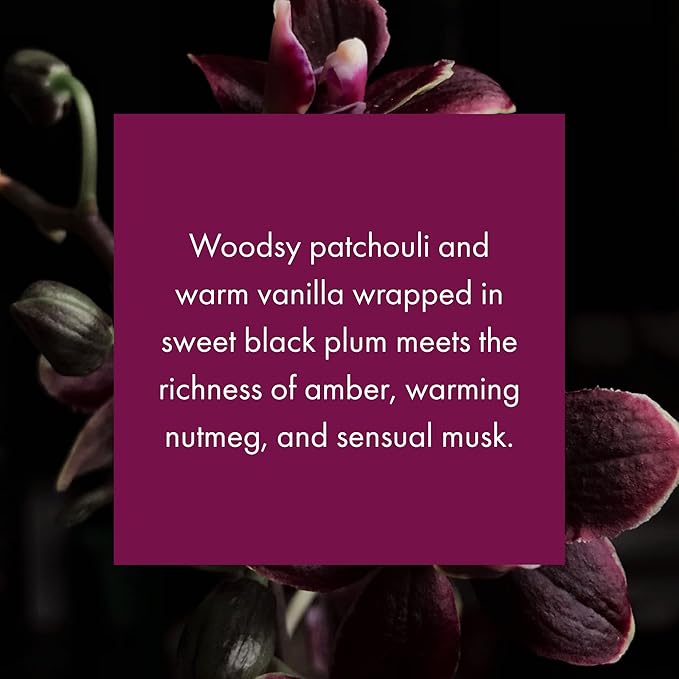 ScentAir Whisper Home Monthly Plug-in Refill, Fragrance Cartridge for Home and Office, Black Orchid