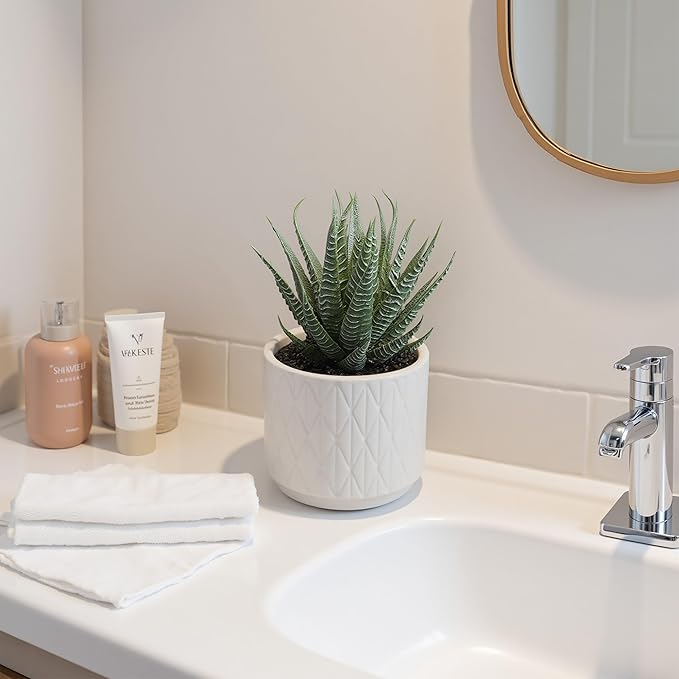 Artificial Succulent in Pot, 6.7'' Small Potted Fake Succulents Realistic Potted Plant for Home Office Desk Bathroom Boho Decoration Faux Mini Aloe Greenery for Shelf Aesthetic Decor Table Accessories