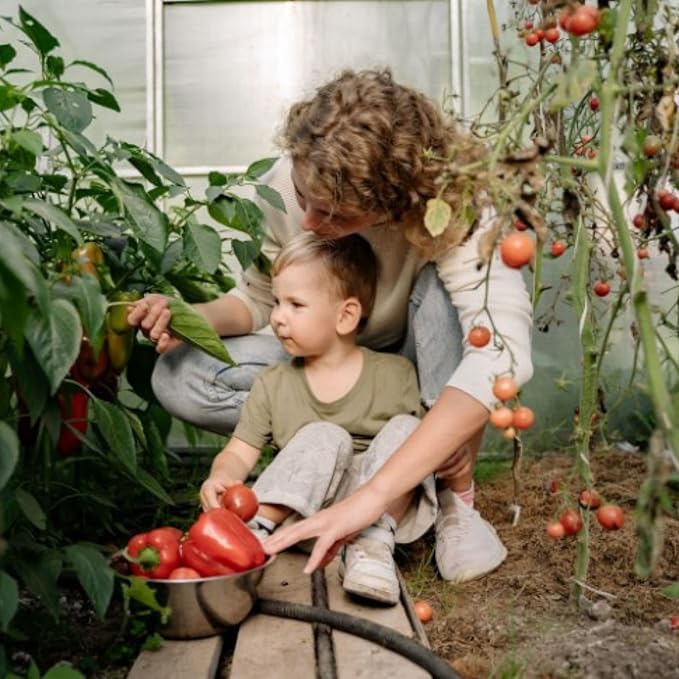 Seed Starter 12 Quart Bag, All Natural and Organic, Fast Seedling Germination, Grows Strong Roots for Indoor Gardens, Raised Beds & Transplanting