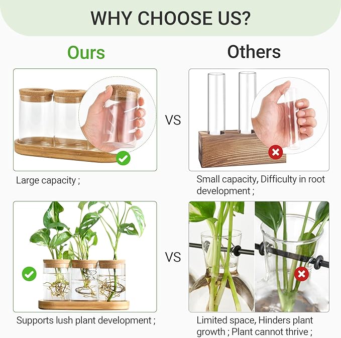 Dahey Plant Propagation Terrarium Desktop Glass Planter Station Water Planting Glass Vase with Lid and Wooden Stand for Propagating Hydroponic Plants Centerpiece Office Home Garden Decor, 3 Pcs