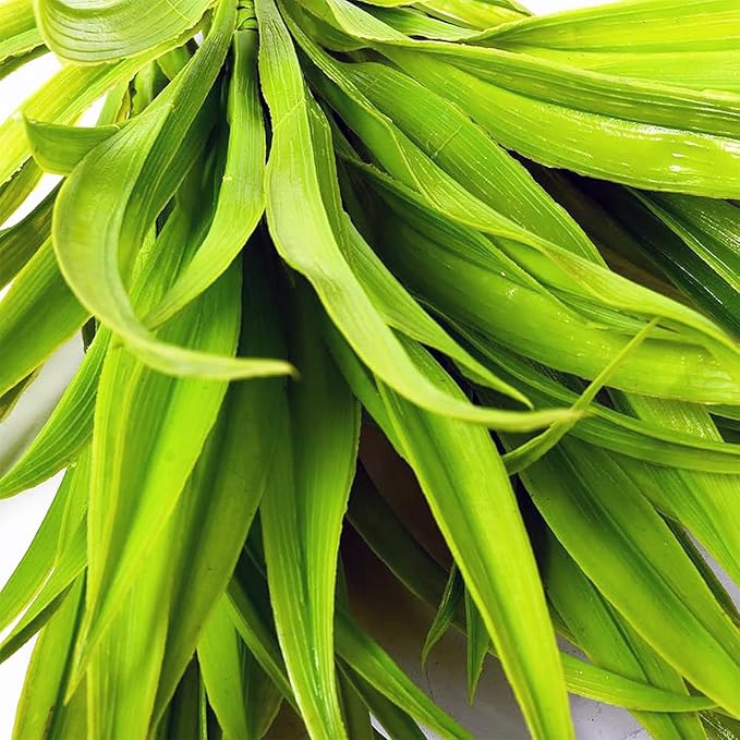 CLONG 16pcs Artificial Fake Grass Plants Faux Grass Outdoor UV Resistant Fake Bushes Artificial Shrubs Plastic Plant (Green)