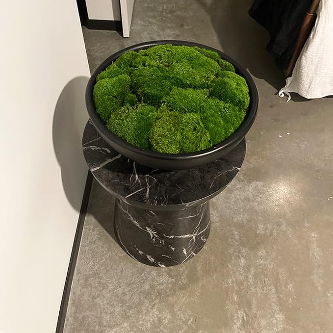 Preserved Pole Moss Pillow Bun Cushion Natural Green Decorative Real Natural Green DIY Kit Terrariums Gardenning Art Wall Decor Florist Decor Easter Table Decor Wedding(4.5 sq.ft., Green-B)