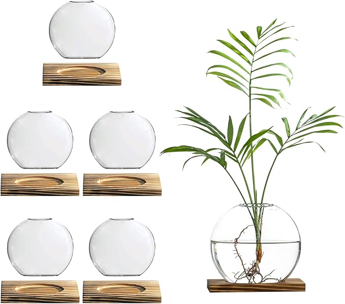 Glass Planter Propagation Station with Wooden Base - Clear Oblate Hydroponic Vase, Decorative Desktop Flower Vase for Home, Office, Windowsill - Gift for Plant Lovers (6)