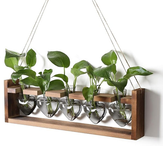 Plant Terrarium Hanging Propagation Stations Gift for Women Plant Lover air Plant Holder with Wooden Stand Heart Glass