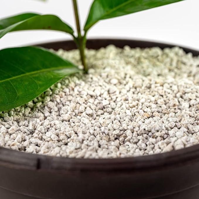Organic Perlite — Medium/Fine Grade Horticultural Soil Amendment for Indoor & Outdoor Container Plants for Drainage Management and Enhanced Growth (3 Quart)