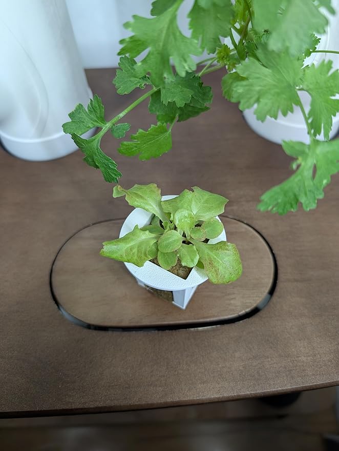 Grow Cubes for Hydroponic System/Compatible with Gardyn (20 Grow Cubes)