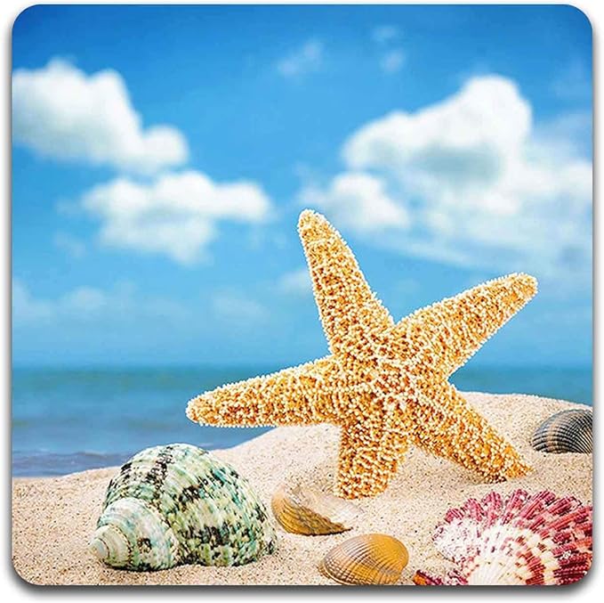 Beach Shells Square Coaster Set - Made of Recycled Rubber - Set of 4