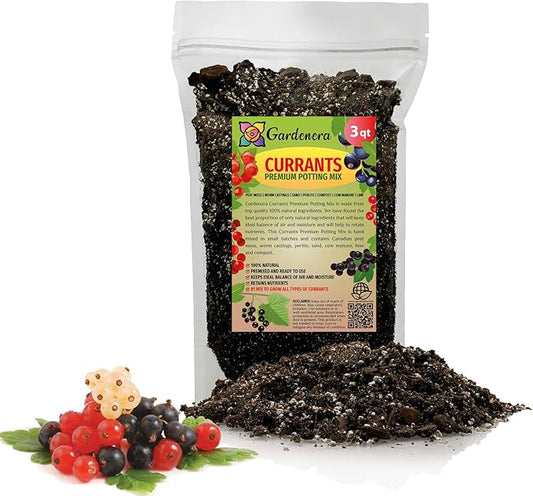 Premium Currant Plant Potting Soil Mix - Optimal Nutrient-Rich Blend for Thriving and Juicy Currants - 3 Quart