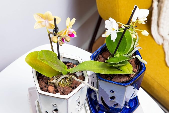 rePotme 4 x 6 inch Hexagon Ceramic Orchid Pot with Holes (Midnight Blue) - Ideal Plant Pot for Repotting Orchids and Other Flowers - Indoor/Outdoor