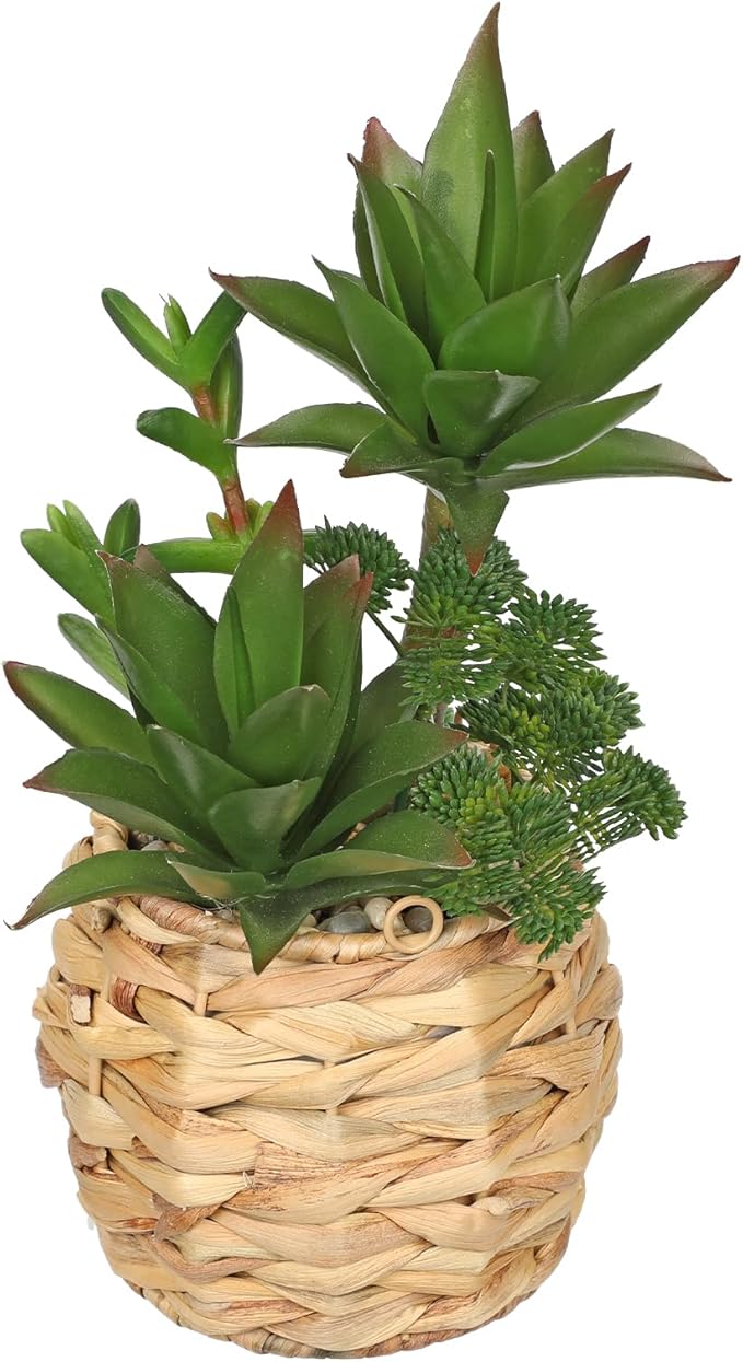 10" Large Succulents Plants Artificial in Wooden Pots, Fake Succulents in Woven Pots, Faux Succulent Artificial Plants Indoor for Home, Bedroom, Living Room, Bathroom Desk Shelf Table Decor