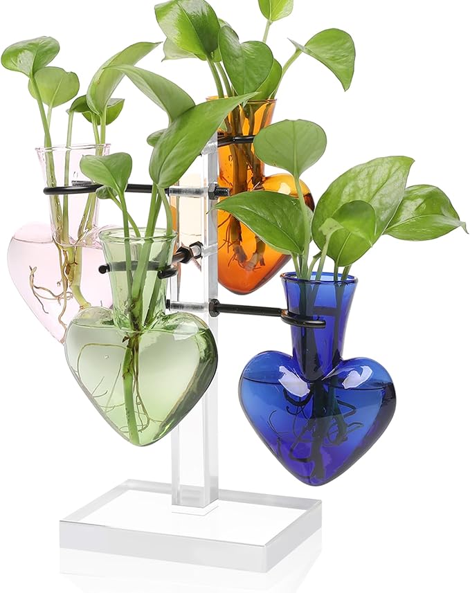 Plants Propagation Stations Plant Terrarium Kit Gift for Women Birthday Glass Planters for Indoor Plants Home Office Decor Acrylic Plant Accessories - 4 Love Hear Vase