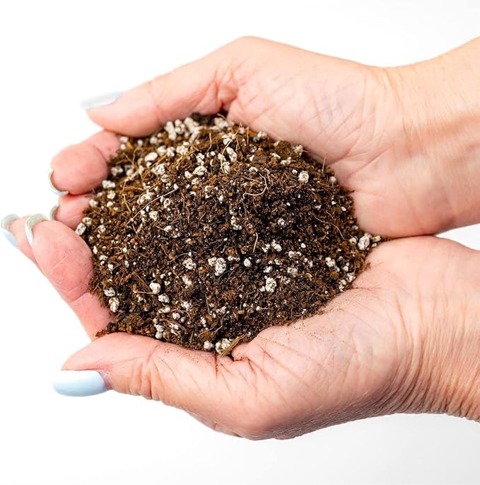 Premium Organic Potting Soil - 4 Quart - The Ideal Growing Medium for Delicious and Nutritious Homegrown Potatoes