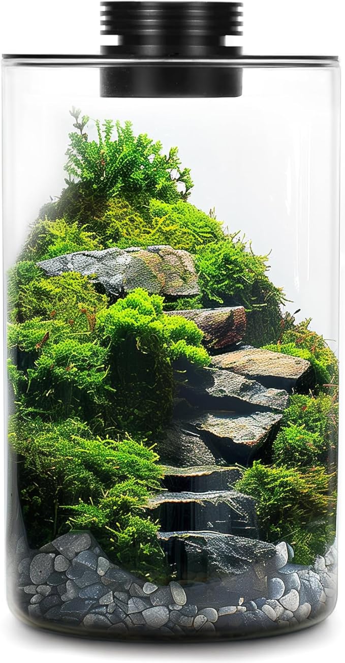 Mini Desktop Glass Plant Terrarium with Grow Light - Planter for Succulent Moss Miniature Gardening Landscape, Fish Tank Indoor Plant Growth Office Home Decoration Plant Lovers Gifts