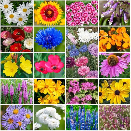 Park Seed Grow Your Own Vibrant Annual and Perennial Wildflower Garden Seeds Mixture, Easy to Grow Varieties for Pollinators and Spring Gardens - Northeast Regional Mix, 10 lbs
