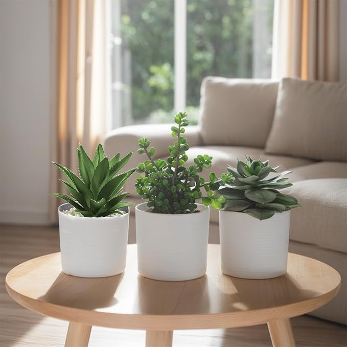 Hopewood Succulent Plants Artificial in White Pots Small Faux Potted Succulents Fake Plants in Vase Set of 3