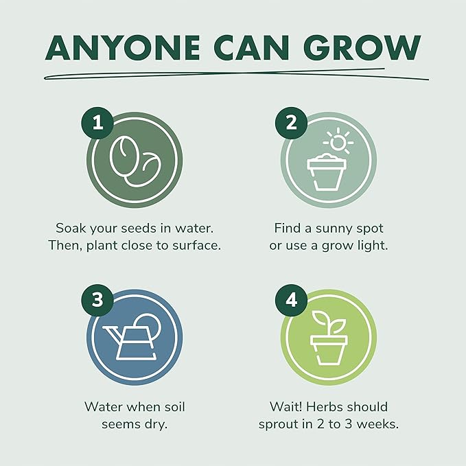 Indoor Herb Garden Starter Kit - Heirloom, Non-GMO Herb Seeds - Basil Thyme Parsley Cilantro Seed, Potting Soil, Pots, Scissors - DIY Grow Kits for Growing Herbs Indoors, Kitchen, Balcony, Window Sill