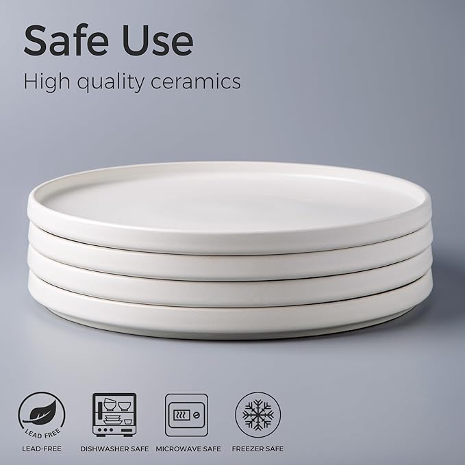 AmorArc Stoneware Dinner Plates Set of 4, 10.5 Inch Reactive Matte Glaze Ceramic Plates Set, Modern Dinnerware Dish set for Kitchen, Microwave, Dishwasher Safe, Scratch Resistant - Matte White