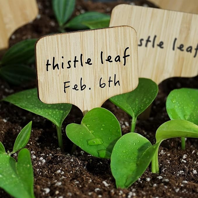 OBTANIM 75 Pack Bamboo Rectangle Plant Labels with A Marker Pen, Garden Markers Sign Plant Tags for Seedling Potted Herbs Flowers Vegetables