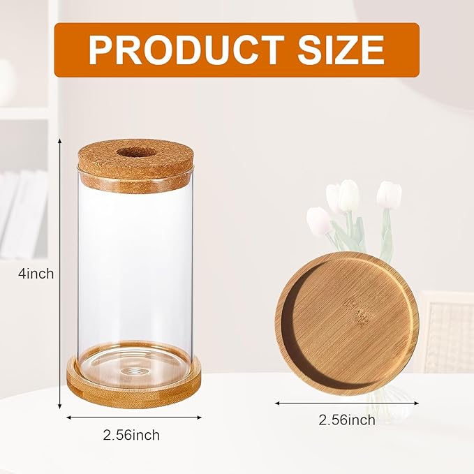 6 Pcs Plant Propagation Terrarium Glass Propagation Vase Containers with Cork and Wooden Saucer for Hydroponic Plants Tabletop Decoration Jars for Plants (2.56 x 4 Inch)