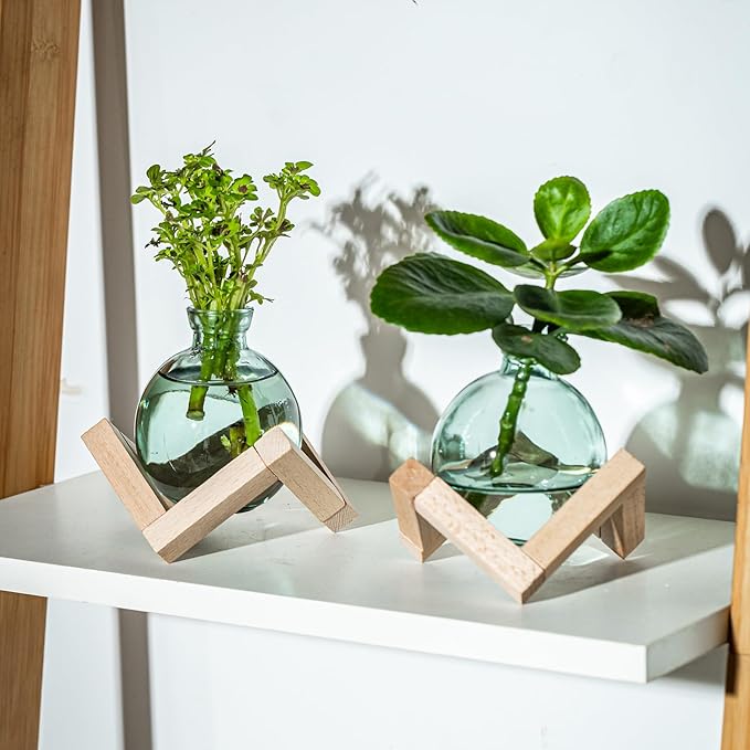 Plant Propagation Station, Plant Terrarium with Wooden Stand for Hydroponic Plant Propagation, Propagation Vases for Plants, Green Glass Bulb Vases for Home Office Decor (8)