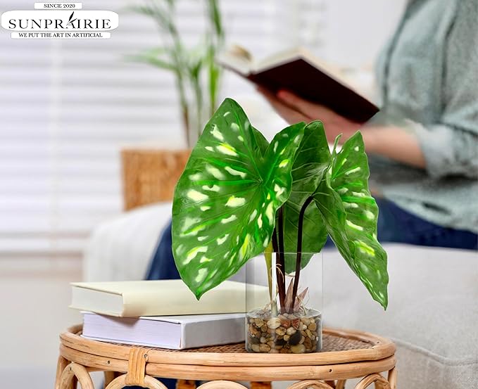 SUNPRAIRIE Tropical Artificial Plant in Clear Pot with Artificial Water, Wide Arrowhead Leaves. Faux Plants Indoor and Outdoor