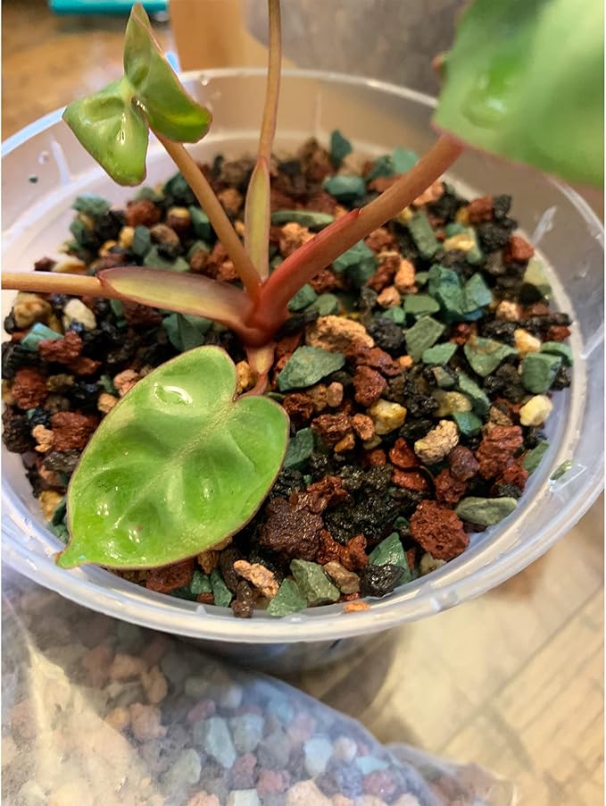 3lb Mix Lava Rocks for Plants in Door -Gravel Pebbles for Bonsai Succulent Cactus Potting Soil and Vase Fillers, Fairy Gardening,Top Dressing