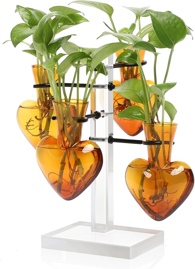 Plants Propagation Stations Plant Terrarium Kit Gift for Women Birthday Glass Planters for Indoor Plants Home Office Decor Acrylic Plant Accessories - 4 Love Hear Vase