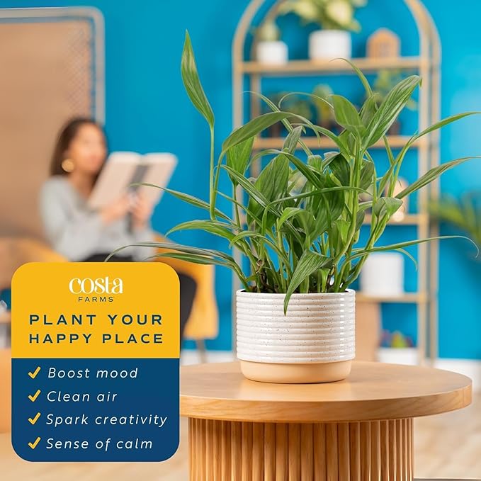 Costa Farms Silver Streak Pothos Live Plant in Self Watering Pot, Air Purifying Indoor Houseplant, Perfect for Home, Room, or Office Decor, Great House Warming or Birthday Gift, 10-16 Inches Tall