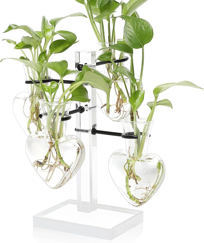 Plants Propagation Stations Plant Terrarium Kit Gift for Women Birthday Glass Planters for Indoor Plants Home Office Decor Acrylic Plant Accessories - 4 Love Hear Vase