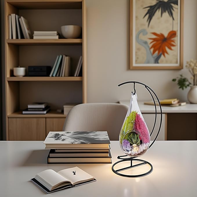 Plant Terrarium Kit W/Live Succulent (Fresh from Florida), Choose Your Glass DIY Terrarium Starter Kit for Adults, Metal Stand, Reindeer Moss, Crystal & Rocks, Tools, Figurine