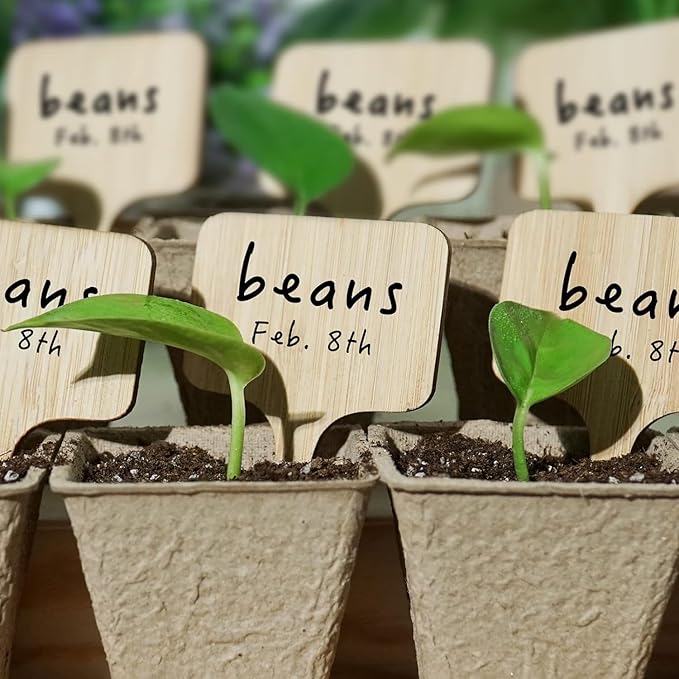OBTANIM 75 Pack Bamboo Rectangle Plant Labels with A Marker Pen, Garden Markers Sign Plant Tags for Seedling Potted Herbs Flowers Vegetables