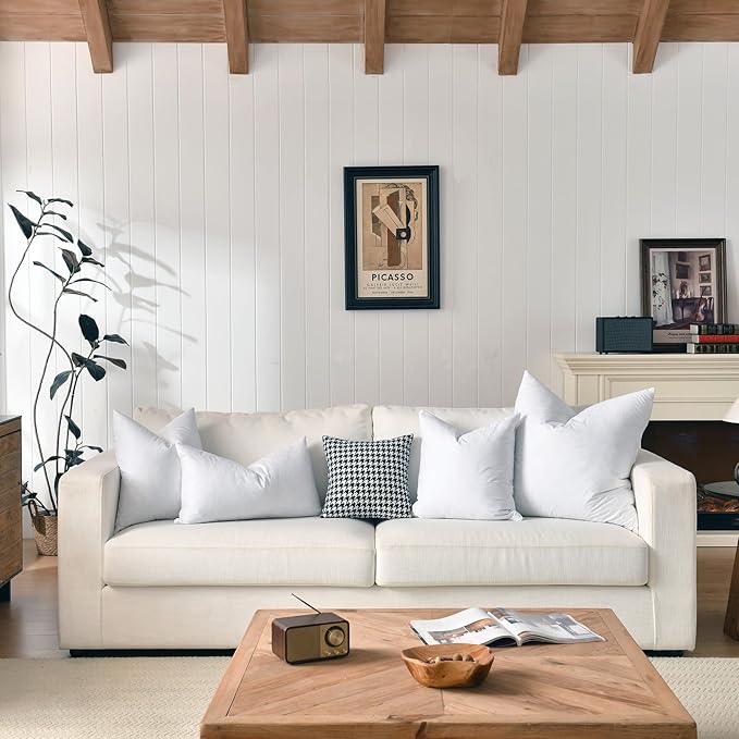 24x24 Euro Throw Pillow Inserts-Down Feather Pillow Inserts-Cotton Fabric-Set of 2-White.